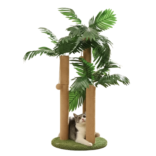 Whisker Wonderland | Ultimate Cat Playground