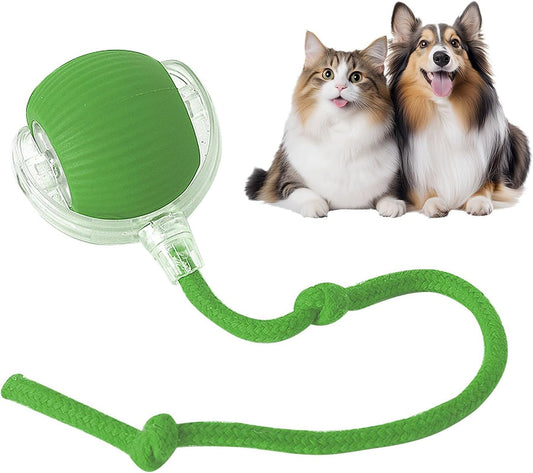 Rolling Pet Toy Ball