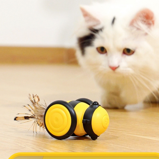 Buzzing Bee Cat Play Cars