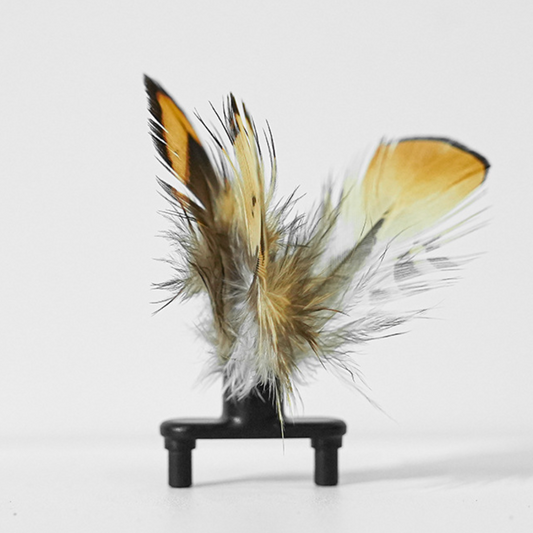 Buzzing Bee Cat Play Cars