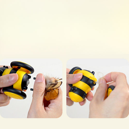 Buzzing Bee Cat Play Cars
