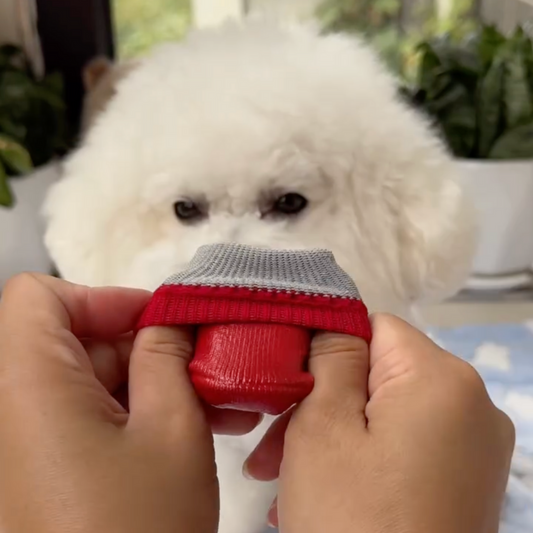 Waterproof Dog Shoes - Set of 4