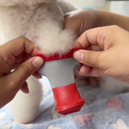 Waterproof Dog Shoes - Set of 4