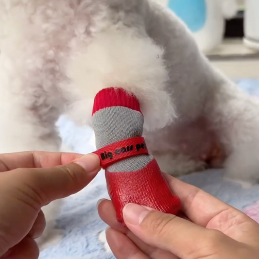 Waterproof Dog Shoes - Set of 4