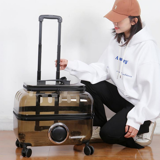 Stylish Transparent Cat Roller Backpack for Easy Travel