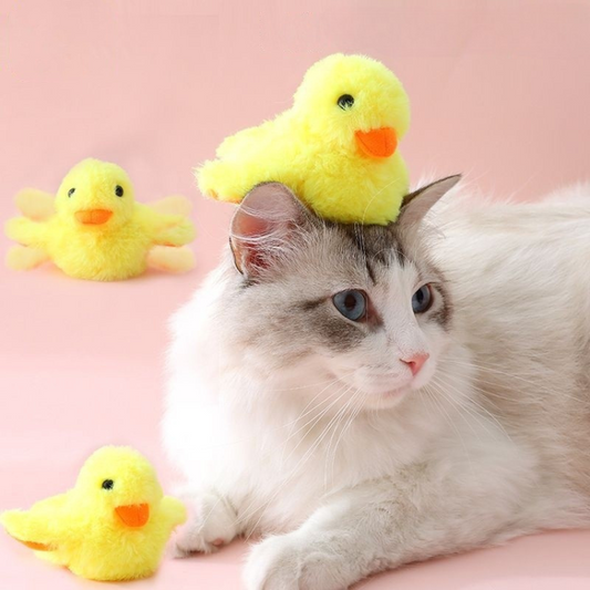 Joyful Duck Plush Toy for Cats