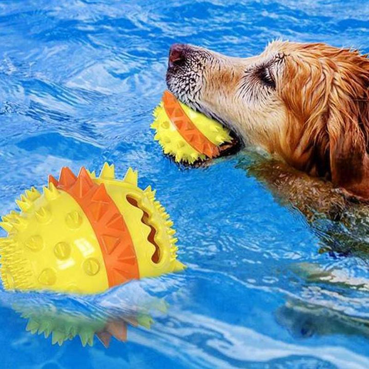 Outdoor Tug Toy for Dogs
