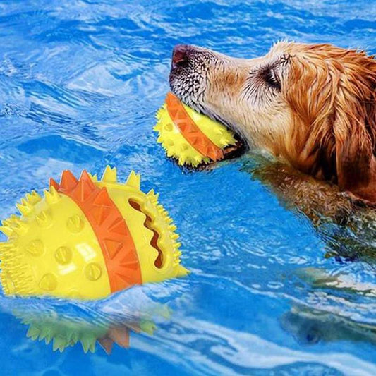 Outdoor Tug Toy for Dogs