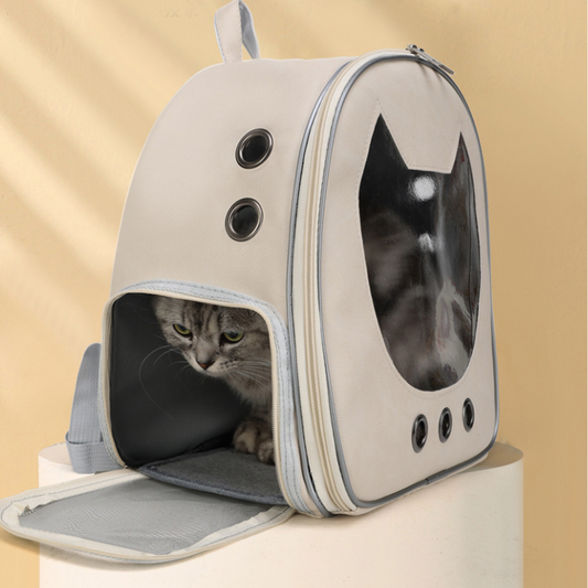 Comfortable Travel Carrier for Your Beloved Cat