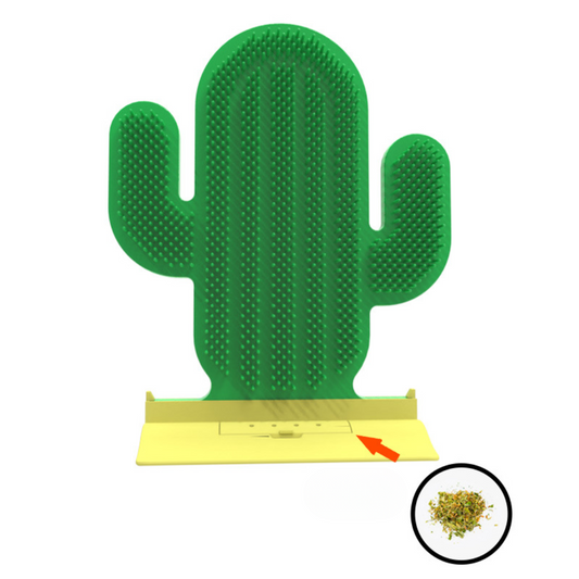 Catnip-Infused Cactus Grooming Brush for Cats