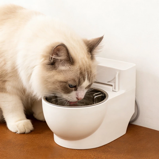 Whimsical Toilet-Shaped Cat Water Dispenser