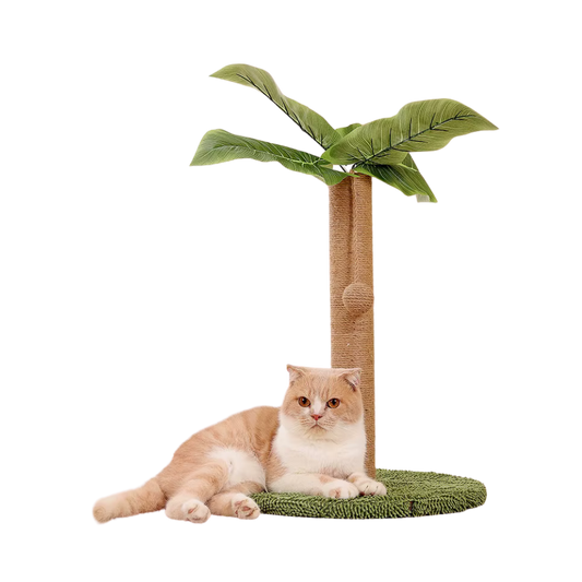 Whisker Wonderland | Ultimate Cat Playground