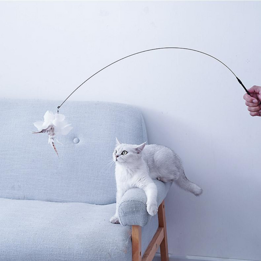 Interactive Feather Teaser Toy for Cats with Suction Base