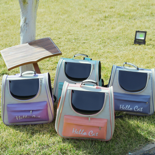 Outdoor Adventure Cat Backpack: Windproof and Comfy