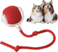 Rolling Pet Toy Ball