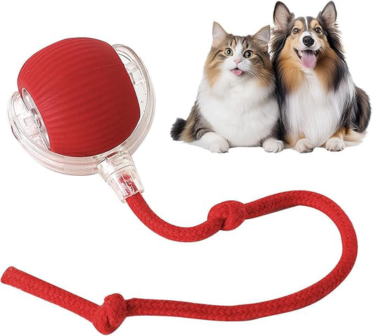 Rolling Pet Toy Ball