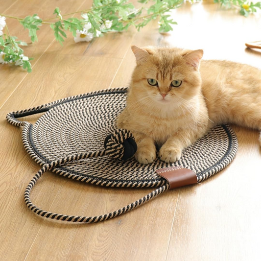 Braided Rope Cat Mat with Toy Ball