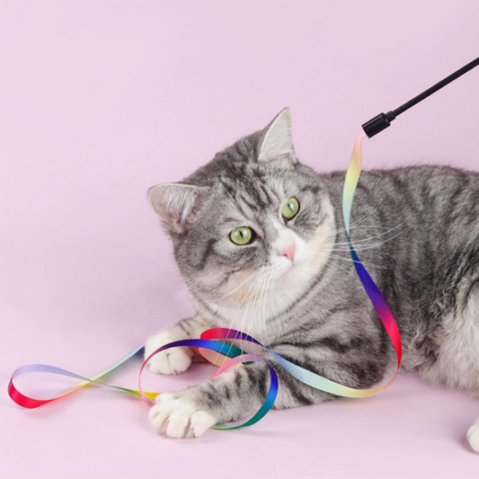 Vibrant Rainbow Wand Teaser for Cats