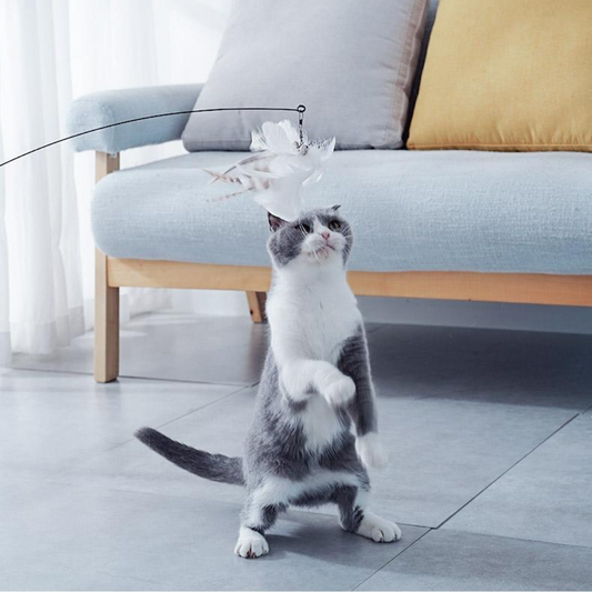 Interactive Feather Teaser Toy for Cats with Suction Base