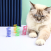 Vibrant Spring Toys for Your Indoor Feline Friend