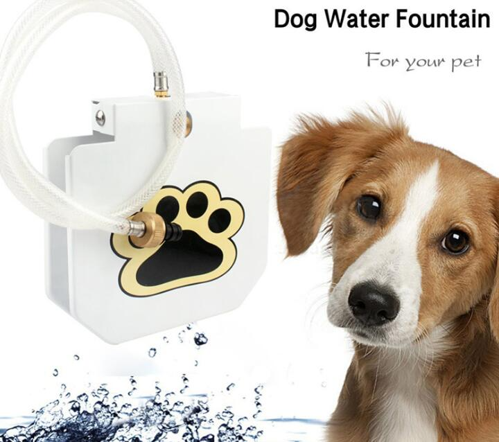 Paw Pump Outdoor Dog Water Fountain