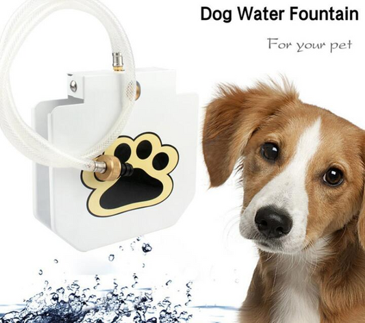 Paw Pump Outdoor Dog Water Fountain