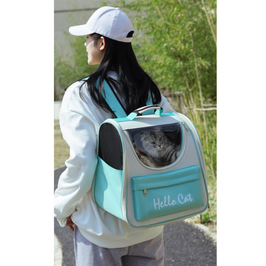 Outdoor Adventure Cat Backpack: Windproof and Comfy