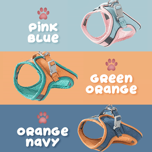 Comfortable Cat Walking Harness and Leash Combo