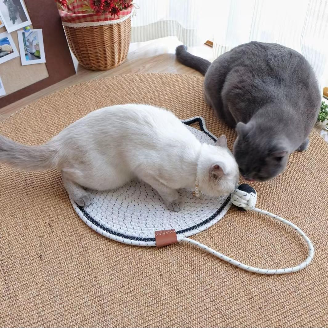Braided Rope Cat Mat with Toy Ball
