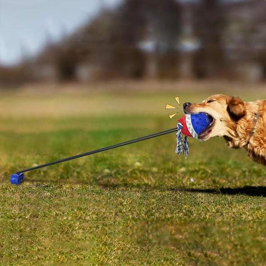 Outdoor Tug Toy for Dogs