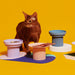 Sculptural Elevated Cat Bowl