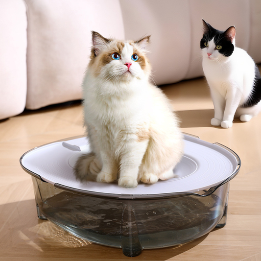 Ultimate Toilet Training Kit for Cats - Say Goodbye to Litter Boxes