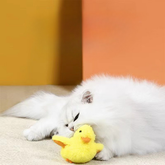 Joyful Duck Plush Toy for Cats