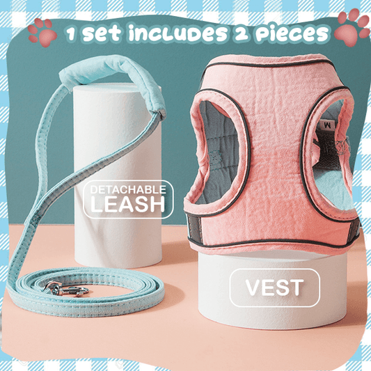 Comfortable Cat Walking Harness and Leash Combo
