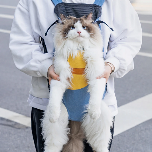 Stylish Cat Backpack Carrier for Adventurous Pet Owners