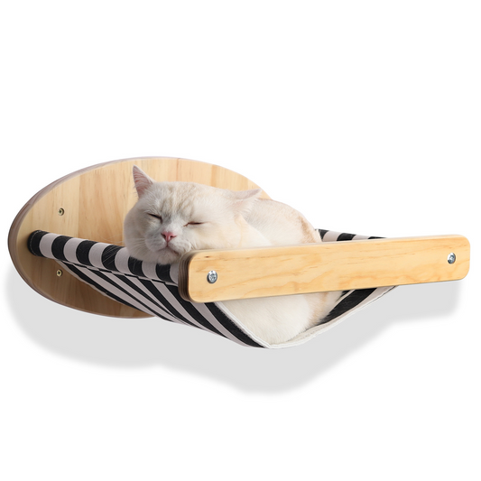 Climb & Lounge Wall Cat Set