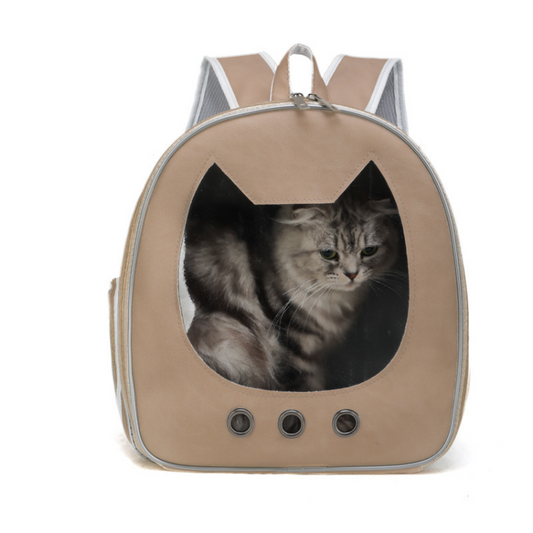 Comfortable Travel Carrier for Your Beloved Cat