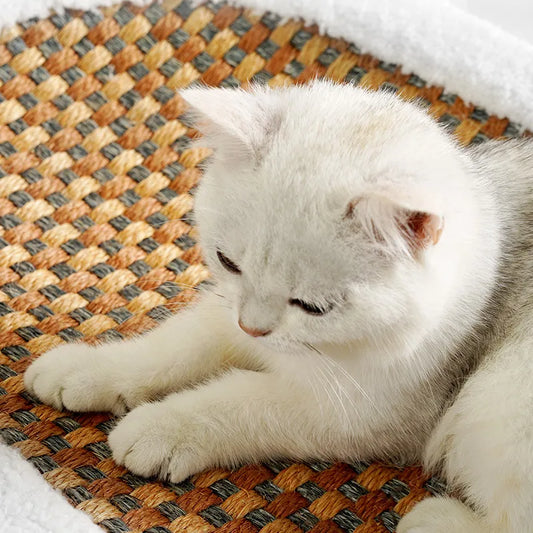 Plush Cat Bed with Built-In Scratching Surface