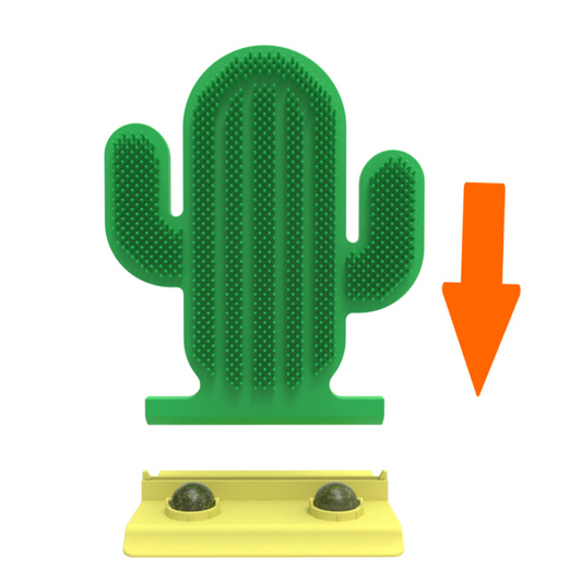 Catnip-Infused Cactus Grooming Brush for Cats