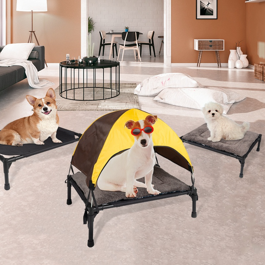 Outdoor Dog Canopy Bed