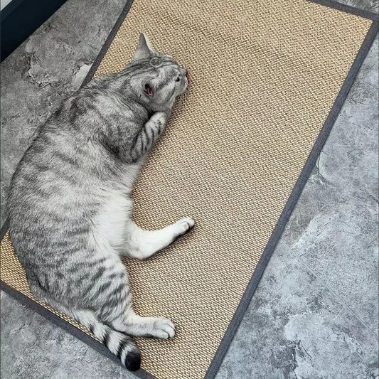 Anti-Scratch Cat Furniture Mat