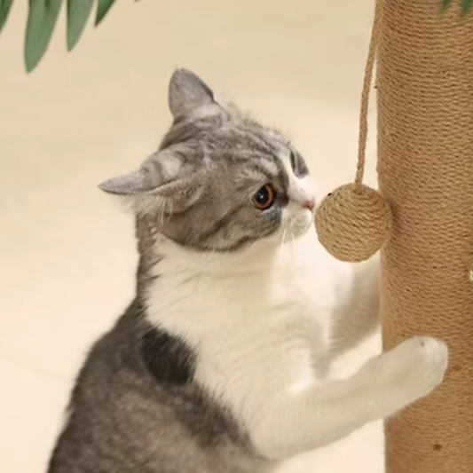 Whisker Wonderland | Ultimate Cat Playground