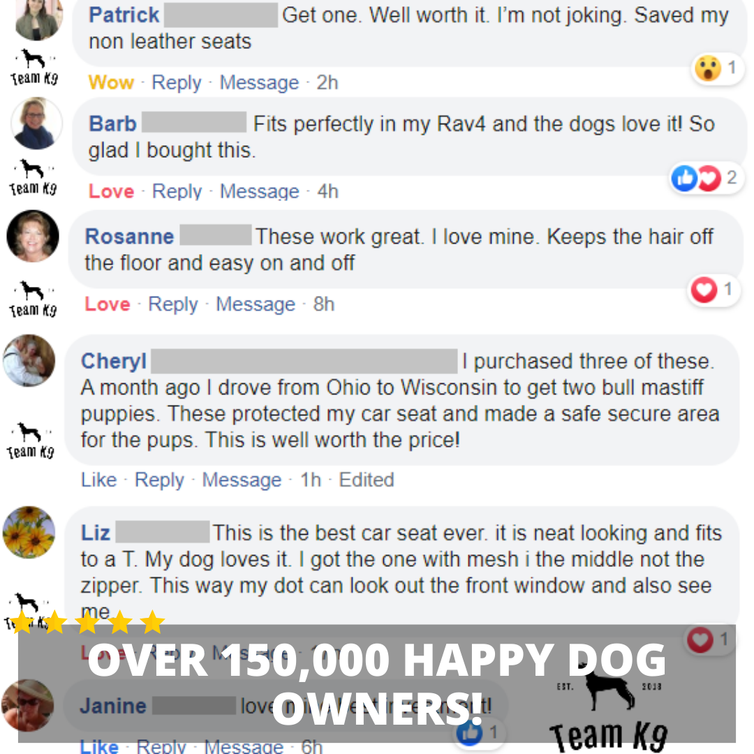 Ultimate Waterproof Pet Car Hammock with Storage & Safety Features