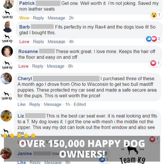 Ultimate Waterproof Pet Car Hammock with Storage & Safety Features