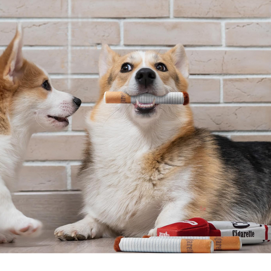 Comforting and Resilient Plush Toy for Teething Dogs