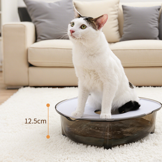 Ultimate Toilet Training Kit for Cats - Say Goodbye to Litter Boxes