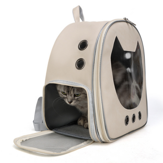 Comfortable Travel Carrier for Your Beloved Cat