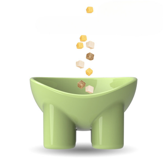 Stylish Raised Feeding Bowl for Cats