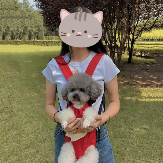 Stylish Cat Backpack Carrier for Adventurous Pet Owners