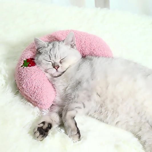 Plush Cat Pillow for Ultimate Cat Comfort